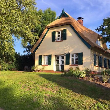 Ferienhaus Preetz 1A - Idylle Unter Reet Burtevitz エクステリア 写真