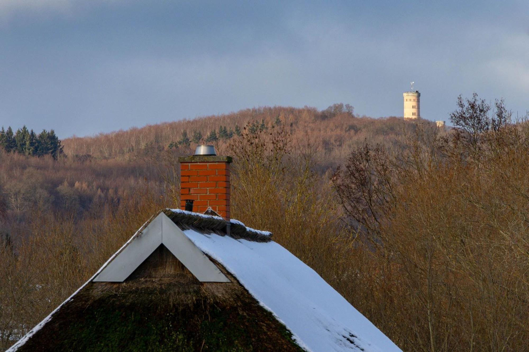 Ferienhaus Preetz 1A - Idylle Unter Reet Burtevitz エクステリア 写真