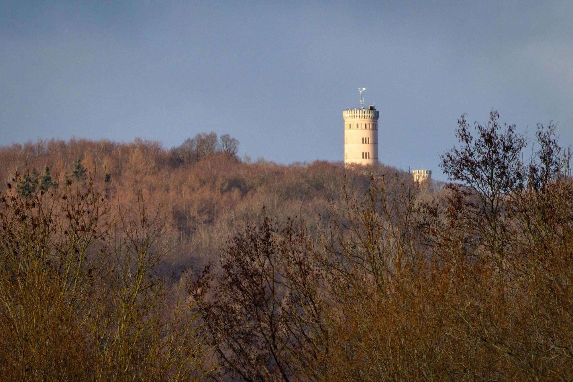 Ferienhaus Preetz 1A - Idylle Unter Reet Burtevitz エクステリア 写真