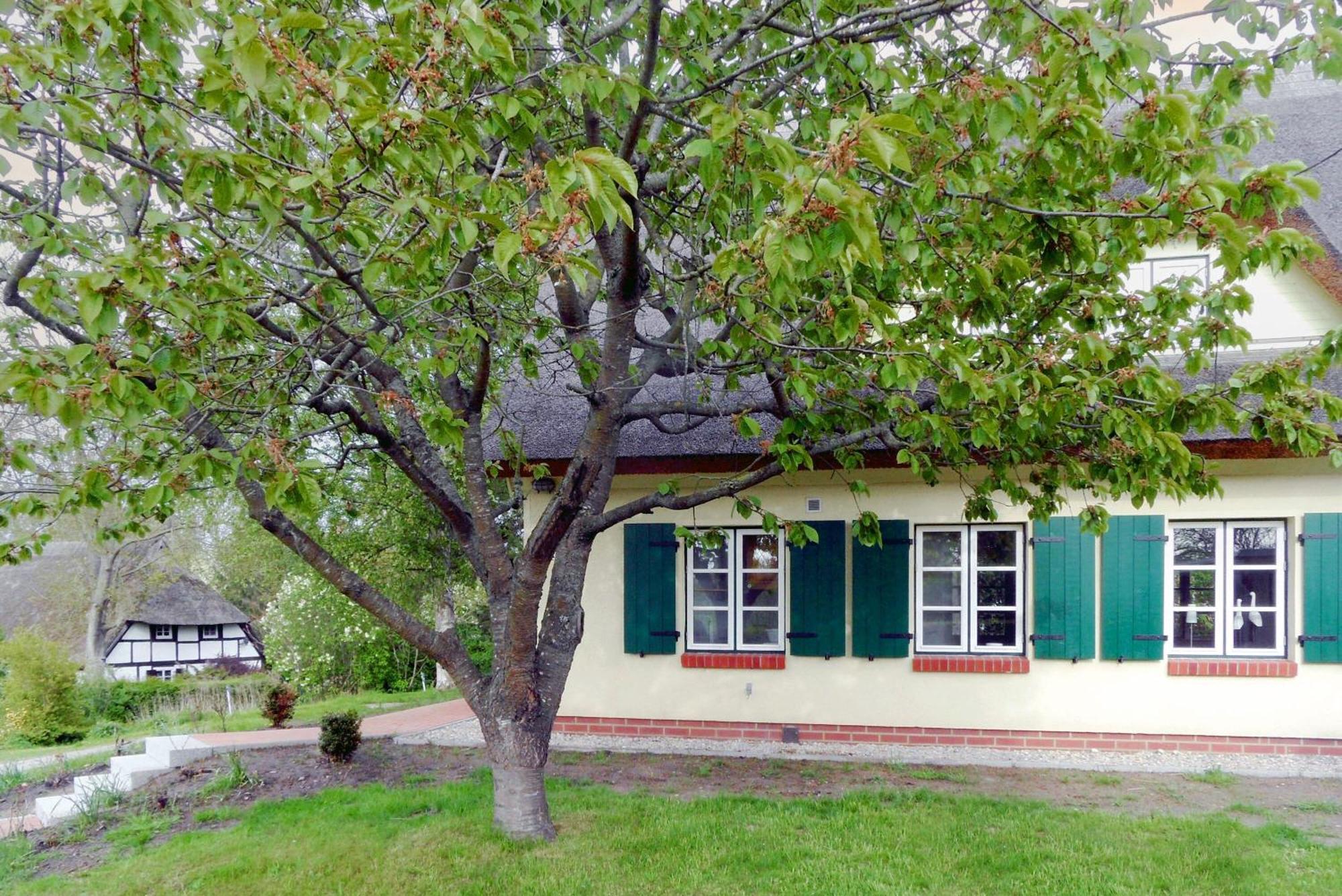 Ferienhaus Preetz 1A - Idylle Unter Reet Burtevitz エクステリア 写真