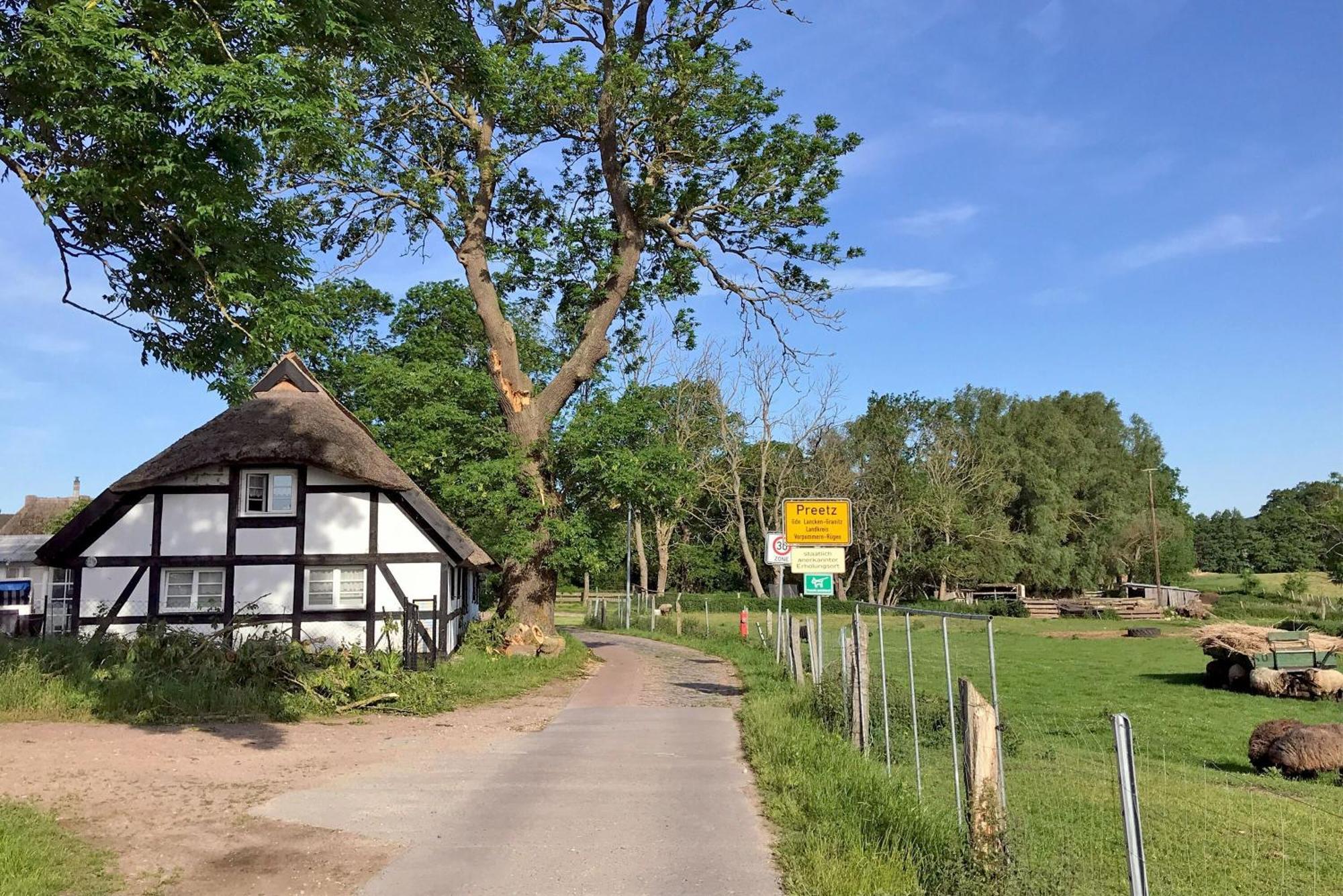 Ferienhaus Preetz 1A - Idylle Unter Reet Burtevitz エクステリア 写真